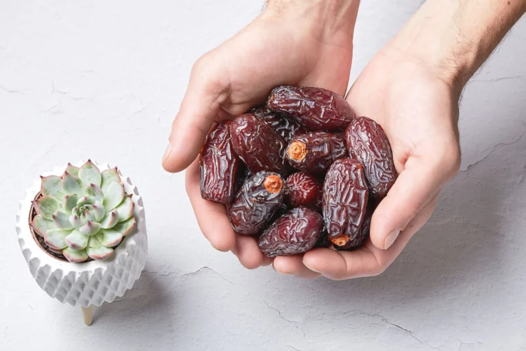 Dates Supplier Malaysia