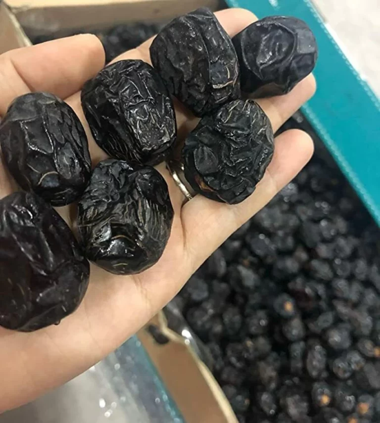 Pembekal Kurma