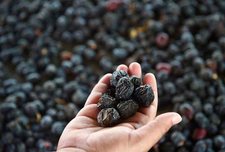 kurma supplier